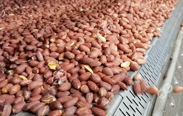 Peanut Roaster Machine