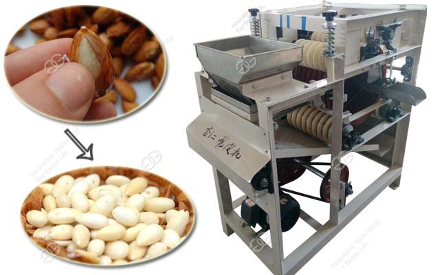 Commercial Almond Wet Peeling Machine|Almond Skin Peeler for Sale