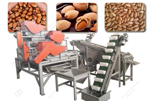 Olive Kernel Shelling Processing Line