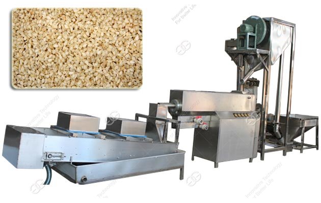 Sesame Seed Washing Drying Machine