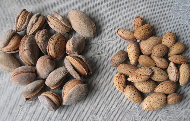 Almond Processing Equipment