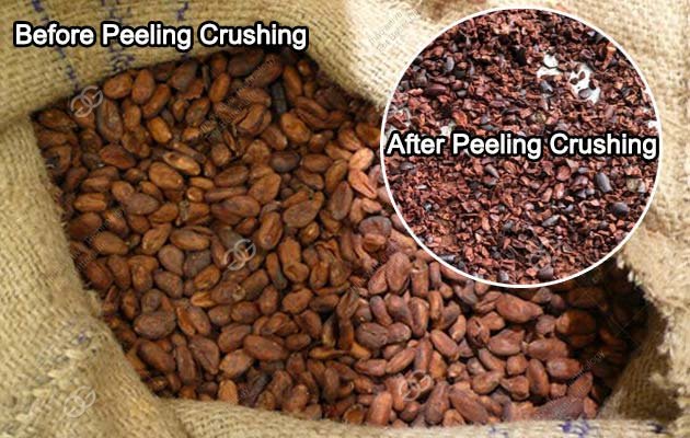 Peeling Machine for Cocoa Beans