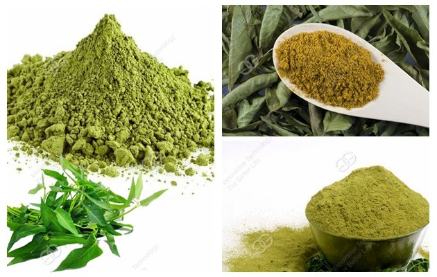 High Quality Moringa Leaf Grinder China Supplier price